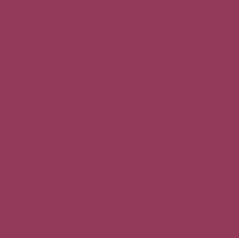 Load image into Gallery viewer, Lipstick - Passion