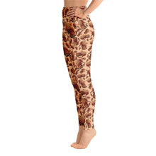 Load image into Gallery viewer, Leggings 'Feathers boots'